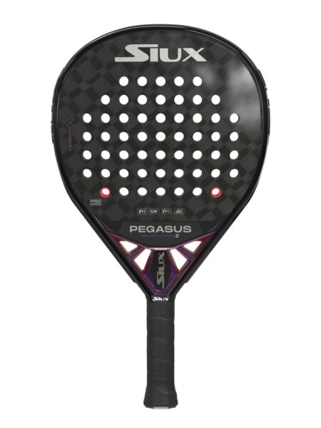 Siux Pegasus Revolution 2