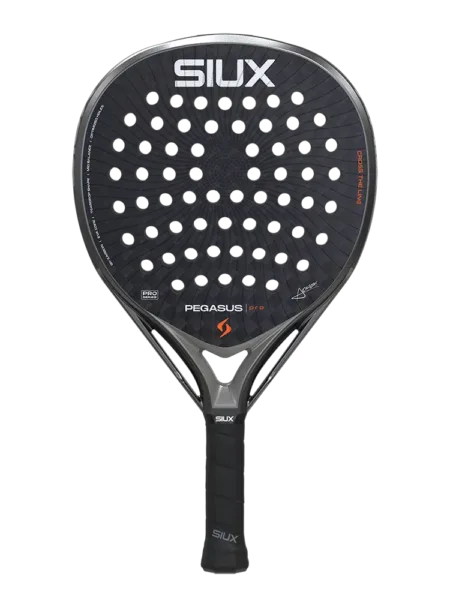 SIUX PEGASUS PRO 2026 STORM GREY